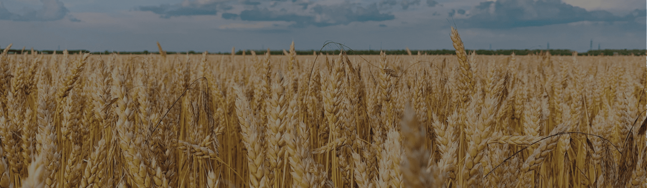 Boortmalt Boortmalt